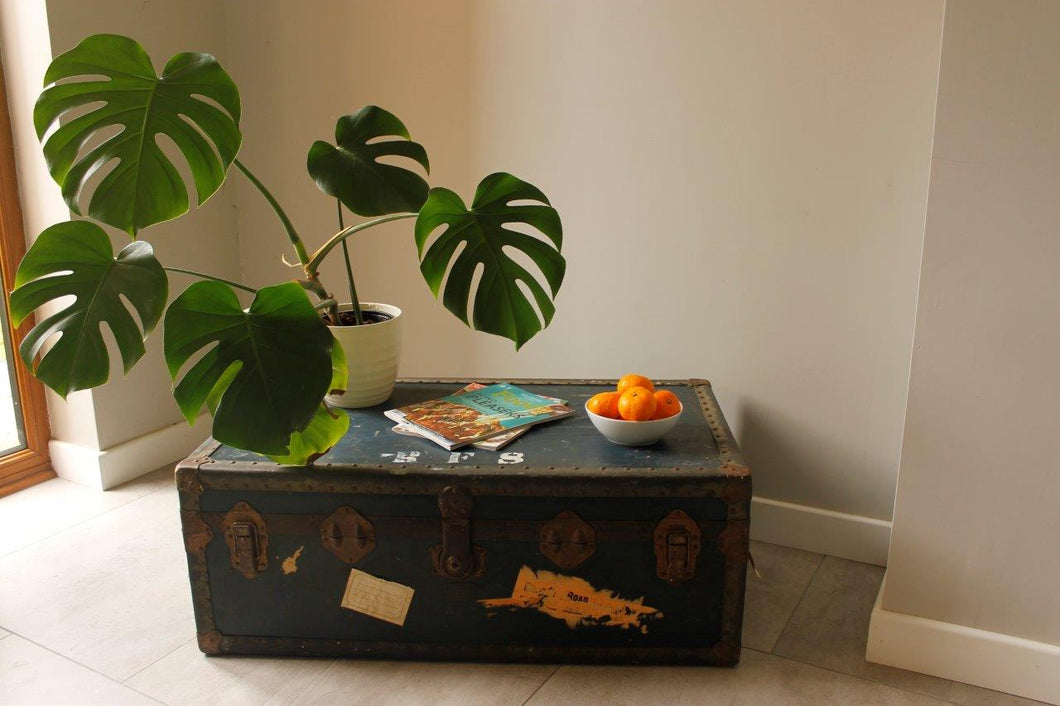 Coffee Table Shipping Trunk