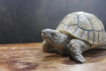 Load image into Gallery viewer, Tortoise - Garden Ornament or Doorstop
