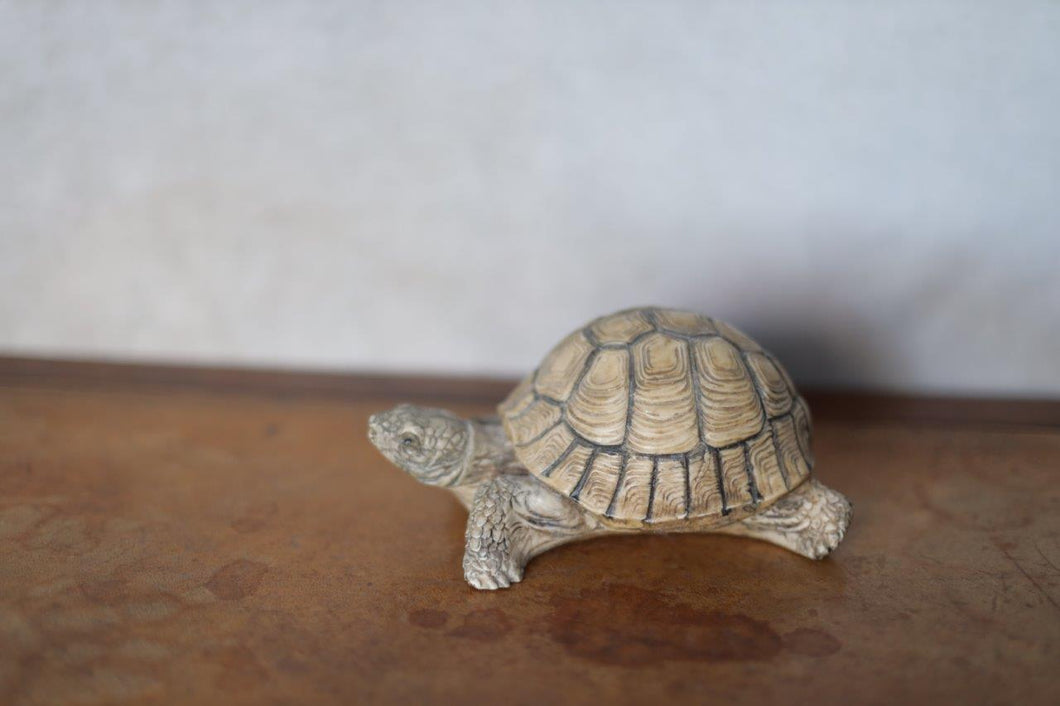 Tortoise - Garden Ornament or Doorstop