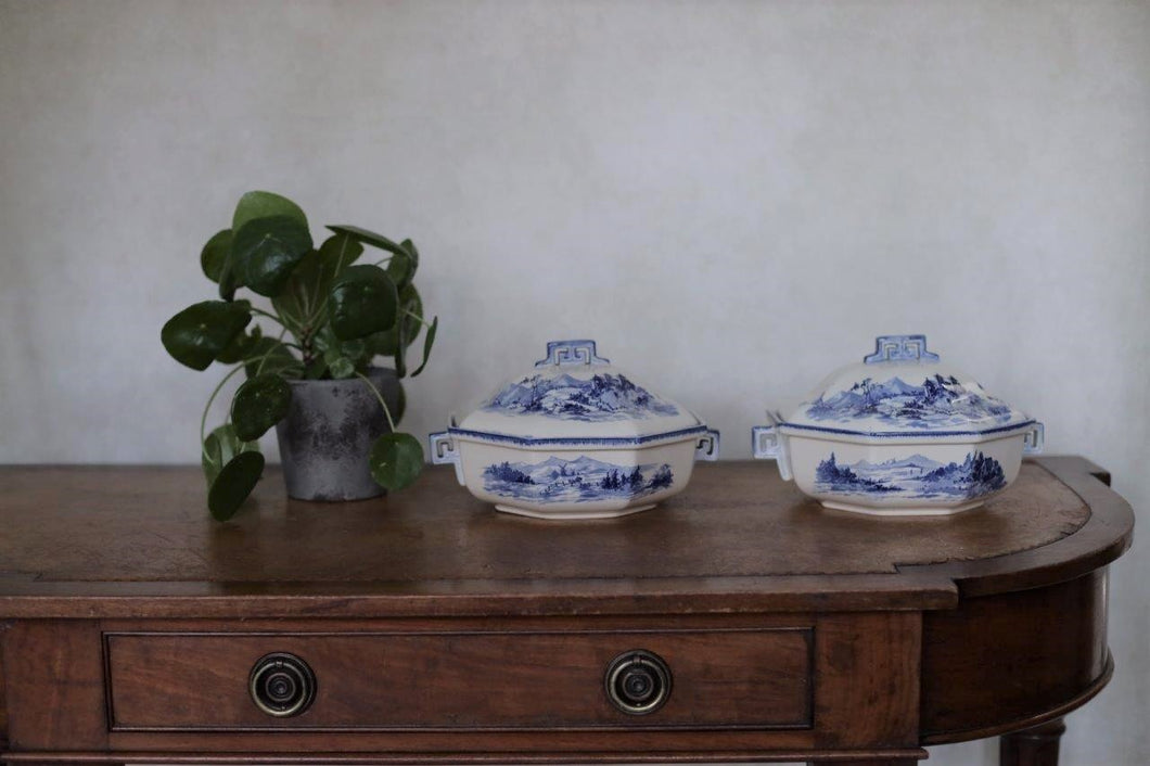 Pair of Royal Doulton Norfolk Design Tureens serving dish in blue and white